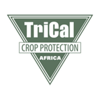 TriCal logo